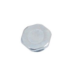 Water Heater Parts 100110712 Plug Hex  | Blackhawk Supply