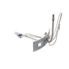 Water Heater Parts 100093818 Door Switch Propane FG40T34 Fiberglass  | Blackhawk Supply