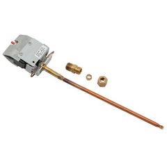 Water Heater Parts 100110096 Limit Switch High Thermostat with Stainless Steel Well  | Blackhawk Supply