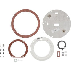 Water Heater Parts 100296908 Plate AO Smith Hex Top with Gasket ACB/SCB 150  | Blackhawk Supply