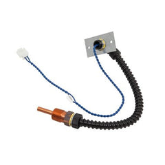 Water Heater Parts 100110731 Temperature Sensor Assembly 100110731  | Blackhawk Supply