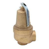 A0000300 | Relief Valve 1-1/4 x 1-1/2 Inch 75 Pounds per Square Inch | Laars
