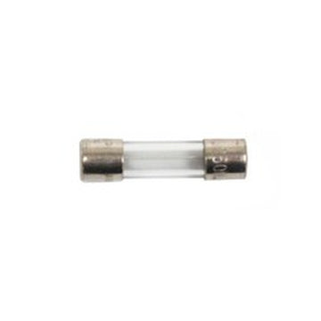 Triangle Tube PSFUSE01 Fuse for Prestige Solo 60-250 Boilers 4 Amp  | Blackhawk Supply