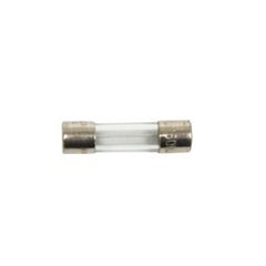 Triangle Tube PSFUSE02 Fuse for Prestige Solo 60-250 Boilers 5 Amp  | Blackhawk Supply