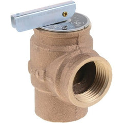 Water Heater Parts 100296931 Relief Valve AO Smith All 50 Pounds per Square Inch  | Blackhawk Supply