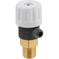 100272758 | Air Vent AO Smith Valve | Water Heater Parts