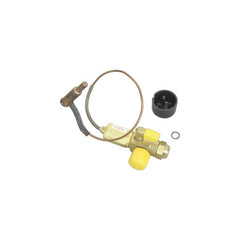 Copeland 998-0746-00 DischargeTempControlValve DTC  | Blackhawk Supply