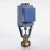 Image for  Steam Valves