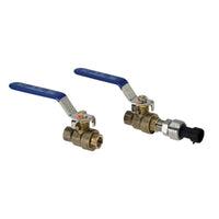 AA68 | Accy | Ball Valve | Brass | 0.25in NPT | Veris