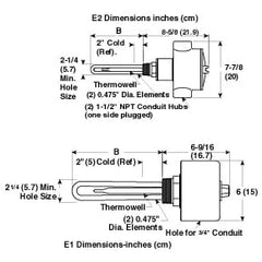 Omega ARMTS-2405/208V Rugged Process Water Immersion Heater wi  | Blackhawk Supply