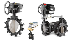 Siemens B214F Butterfly Valve only, 2-way, 14-inch, 150 psi  | Blackhawk Supply