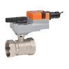 Image for  CCV Valves