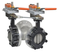 F7125HDU+2*GKX24-MFT-X1 | Butterfly Valve | 5