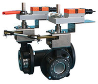 F765-300SHP+2*GMB24-3-X1 | Butterfly Valve | 2.5