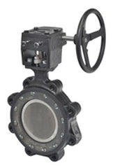 Belimo F6450-300SHP+GW24 Butterfly Valve | 18" | 2 Way | 9712Cv | w/ Gear Wheel  | Blackhawk Supply