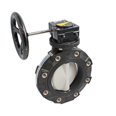 Hayward BYV44100A0NGI00 10" Butterfly Valve w/GFPP Body-Lugged; PP Disc; NITRILE liner & seals; gear operator  | Blackhawk Supply