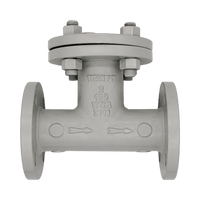 CT21C0400 | CAST TEE STRAINER | CARBON STEEL 4