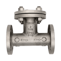 CT21S0200 | CAST TEE STRAINER | STAINLESS STEEL 2