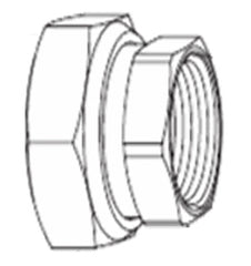 Schneider Electric 9112108025 2 x Female NPT End connection for all 1 in valve bodies  | Blackhawk Supply