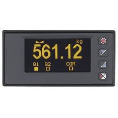 Omega DP400S STRAIN INDICATOR  | Blackhawk Supply