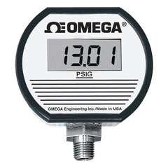 Omega DPG1000ADA-3KG-1N AC/DC POWER DUAL ALARM 3K PSIG  | Blackhawk Supply