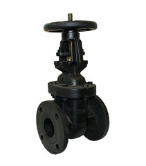 Jomar 103-625 F-361 | 2-1/2" | OSY FLANGE C.I. GATE VALVE CLASS 125  | Blackhawk Supply