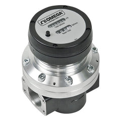 Omega FPDM3205 SS 1 NPT PPS RTR GAL REG  | Blackhawk Supply