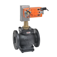 G665LCS+AFBUP-X1 | Globe Valve | 2.5