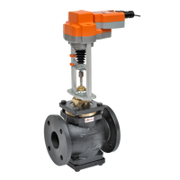 G665CS-250+AVKX24-MFT | Globe Valve | 2.5