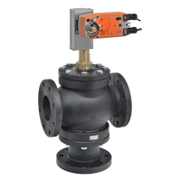 G765DS+AFX24-MFT-S-X1 | Globe Valve | 2.5