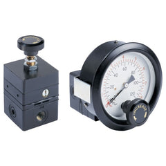 Omega PRG101-25 PRESSURE REGULATOR  | Blackhawk Supply