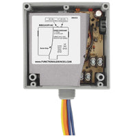 RIBX243PF-NC | Enclosed Internal AC Sensor, Fixed, + Relay 20Amp 3PST-NC 24Vac/dc | Functional Devices