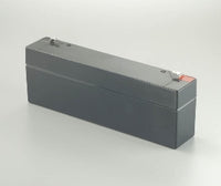 RLD-H10-604R | SPARE BATTERY FOR H10P | Johnson Controls