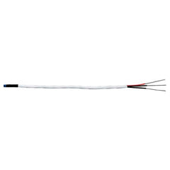 Omega RTD-2-F3105-36-T STYLE 2 RTD ELEMENT, 3 WIRES (Pack of 5)  | Blackhawk Supply