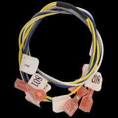 Source1 S1-02541124000 HARNESS, WIRING, JCI, BAS  | Blackhawk Supply