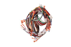 Source1 S1-02543262000 HARNESS, MAIN WIRING  | Blackhawk Supply