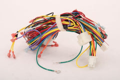 Source1 S1-02547174000 HARNESS, MAIN WIRING  | Blackhawk Supply