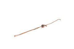 Source1 S1-02547265000 VLV, TXV-DISTR ASSEM, 6 TUBE, 3/8X3/8 ODM  | Blackhawk Supply