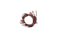 S1-02550198000 | HARNESS, WIRING, 80% MOD FURNACE | York