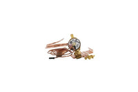 S1-02552080000 | VLV, TXV, CHAT X CHAT, 97.6 PSIG, SPORLAN | York