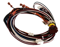S1-02552139000 | HARNESS, DSE1 TO BOARD, CAB2 | Source1