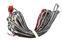 S1-02552175000 | HARNESS, USE4 TO ERW, MODBUS | York