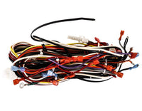 S1-02553168000 | HARNESS, MAIN, WIRING, 96 PCT, 2S | York