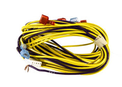 York S1-5957250 HARNESS, WIRING, 4STG, S4, VFD4, 4FM  | Blackhawk Supply