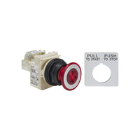 9001SKR9P35RH13 | PUSHBUTTON 28V 30MM SK +OPTIONS | Square D by Schneider Electric