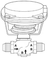 VK-7222-303-4-04 | VB: 5/8 in, 2W, Globe, STR, FLR, UC, BR, 4.4 cv, 10 PSI; Act (MK-4621): Pneu, 2Pos/Prop, 10-13 PSIG, SR, NC, Air NPT, Linear, N1 | Schneider Electric