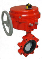 VAUS-6200-E10-L-16 | VB: 6 in, 2W, BFV, FLG, Lug, NYLU, 1850 cv, 50 PSI; Act (BRY-S70-120-0061-H): Elec, 2Pos, NSR, 120 VAC, TB, 600 in-lb, SPDT, HTR, N4 | Schneider Electric