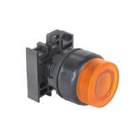 W22IPB-ER-FM24LR-10 | W22IPB-ER-FM24LR-10 - W22 IPB, Extended Cap Red, 24V FV, LED RD, 1 NO | C3 Controls