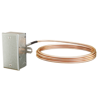 A/10K-E1-A-12'-GD | 10,000 Ohm Thermistor E1, Copper Averaging, 12', Galvanized Enclosure | ACI