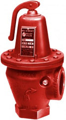 Bell & Gossett 110085 ASME SAFETY RELIEF VALVE 4100-45 ASME Relief Valve  | Blackhawk Supply